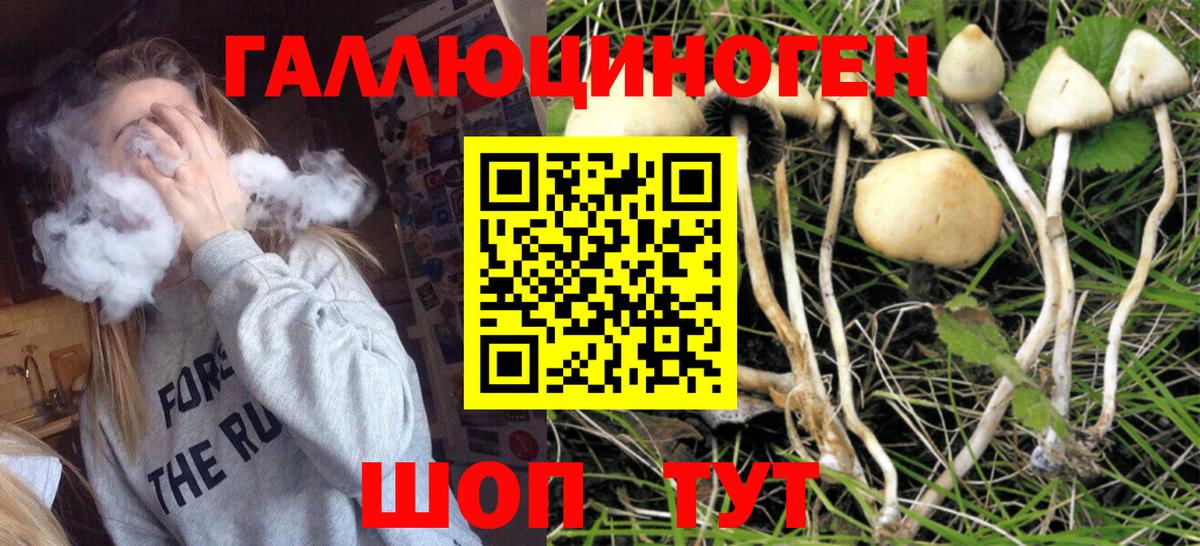 Псилоцибиновые грибы Magic Shrooms Сальск