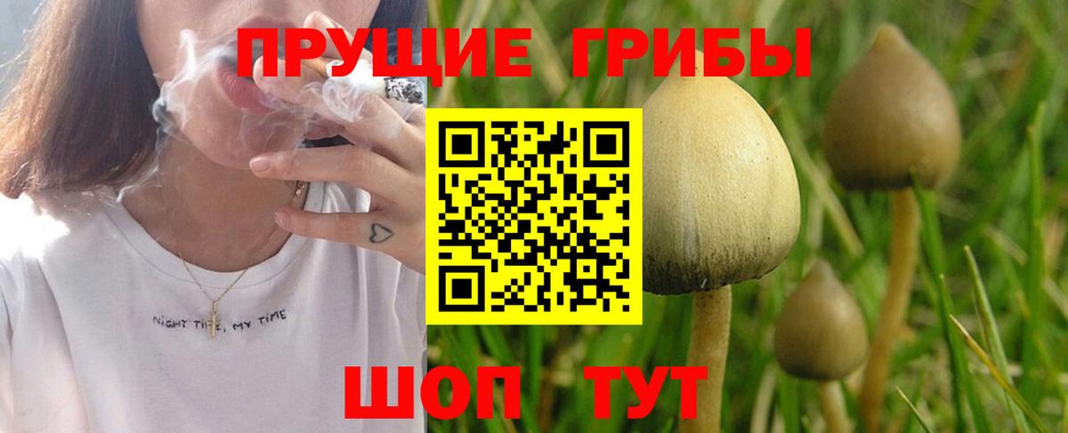 Сальск  Галлюциногенные грибы ЛСД  Псилоцибиновые грибы Magic Shrooms  Вход с VPN 